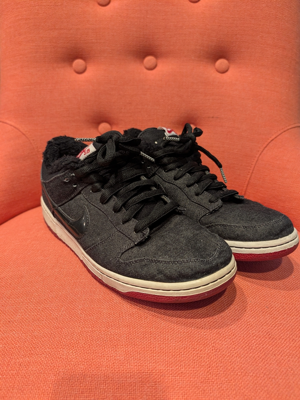 Nike SB Larry Perkins Chiroing Birds Sz 10